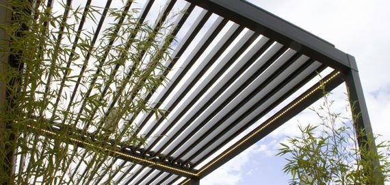 Pergola et bambous